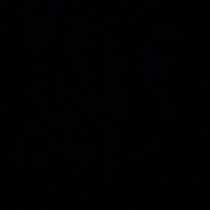 Meet your Posher, Benjamin